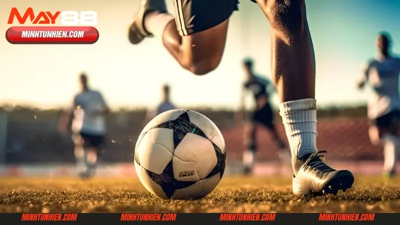 Bật mí các loại cược phổ biến trong K sport tại May88