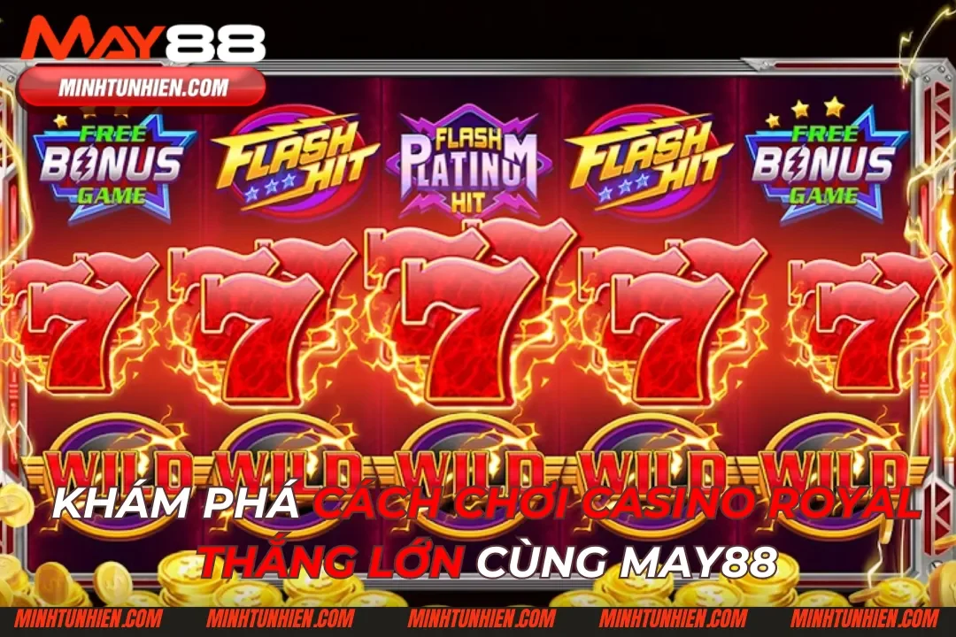 Khám Phá Cách Chơi Casino Royal Thắng Lớn Cùng May88